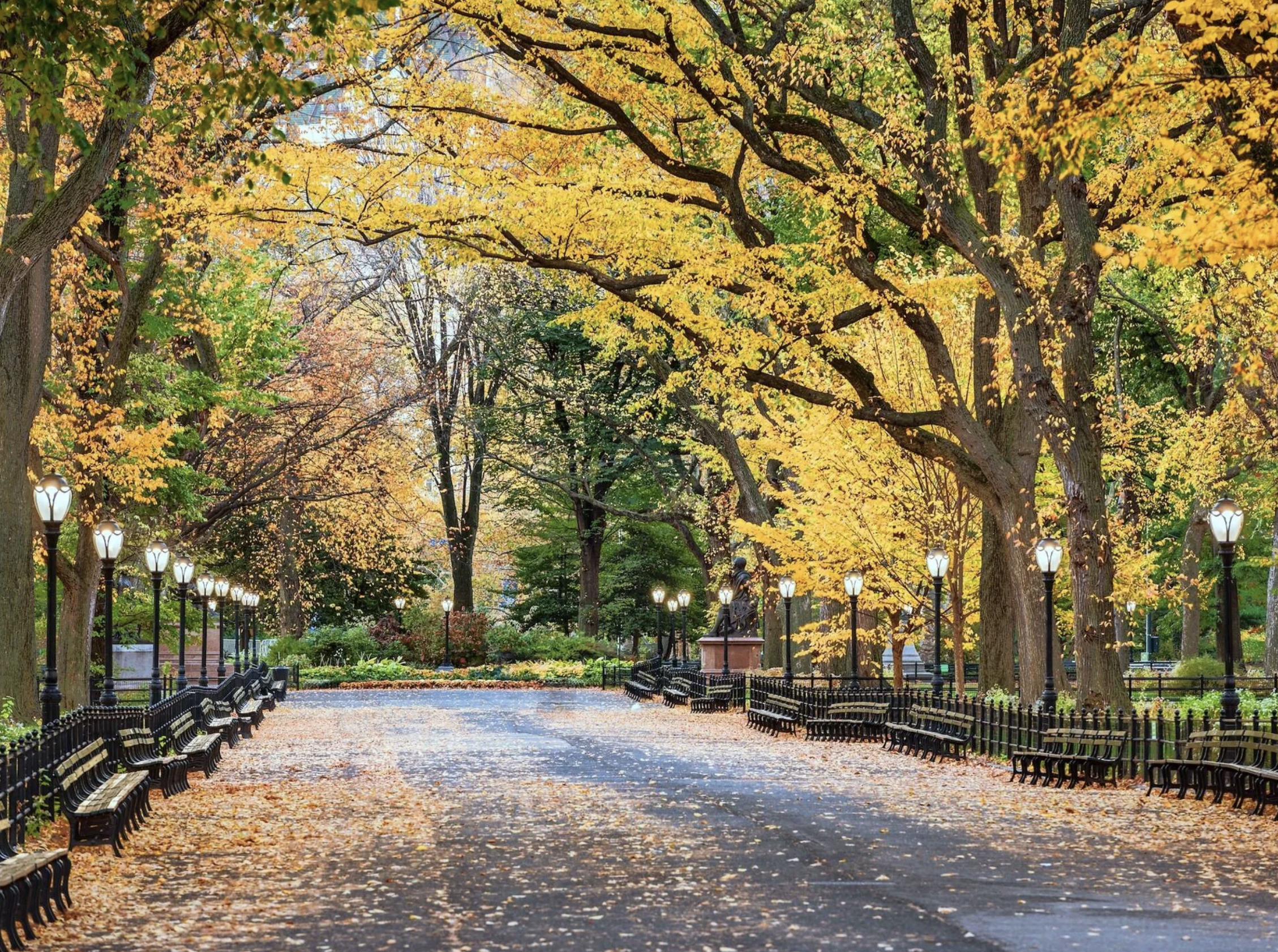 This And That Events Parties And Things To Do In NYC In October 2025 this-and-that-events-parties-and-things-to-do-in-nyc-in-october-2025